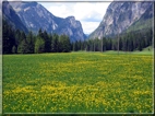 foto Valle di Braies